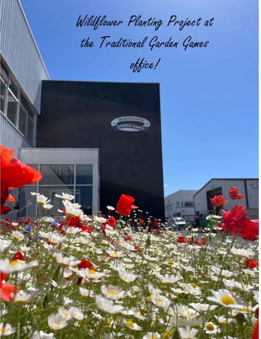 Wildflower Planting Project at the Traditional Garden Games Office!