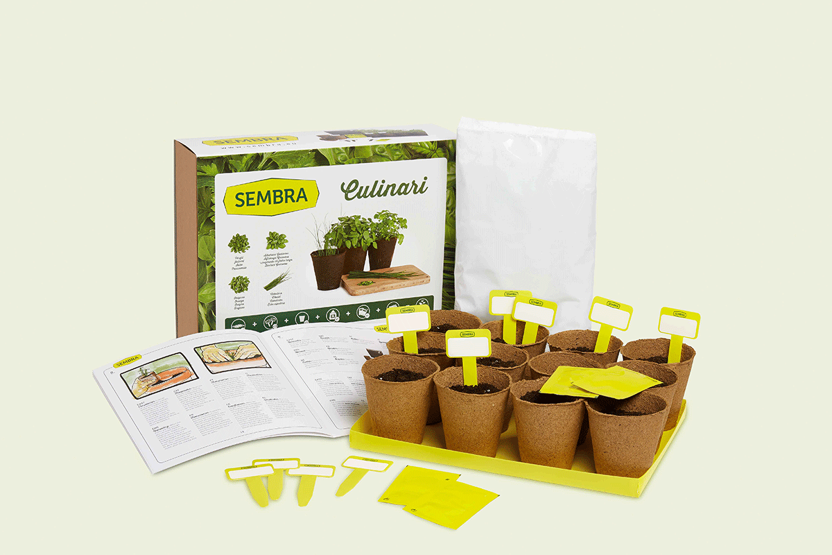 SEMBRA Adult Culinary Kit
