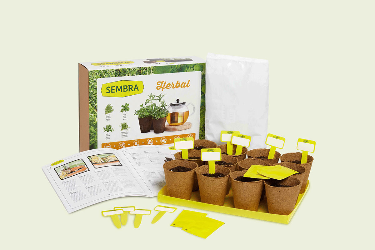 Traditional Garden Games Herbal Infusion Kit contents
